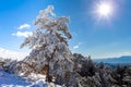 Mountain landscape with snow a sunny day and blue sky. winter photo. Snow storm in the mountains. Royalty Free Stock Photo