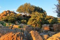 Mountainous rocky terrain with typical local vegetation in rays of setting sun. Travel to Italy. Outdoor