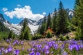 Mountain landscape in the springtime in Romania Royalty Free Stock Photo