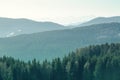 Mountain landscape with spruce and pine trees in the Alps during a sunny day in Winter time. Royalty Free Stock Photo