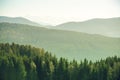 Mountain landscape with spruce and pine trees in the Austrian Alps during a bright sunny day in Winter time Royalty Free Stock Photo