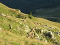 Mountain landscape steem rocky slopes