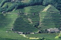 Mountain landscape at summer along the road of Aprica pass. Vineyard