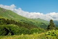 mountain landscape summer forests meadows grass flowers sky clouds