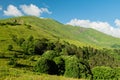 mountain landscape summer forests meadows grass flowers sky clouds