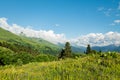 mountain landscape summer forests meadows grass flowers sky clouds