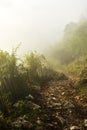 The mountain landscape in summer morning with fog, Romania, Fundatura Ponorului Royalty Free Stock Photo