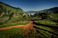 mountain landscape in summer morning - Fundatura Ponorului, Romania Royalty Free Stock Photo