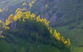 Mountain landscape in summer morning - Fundatura Ponorului Royalty Free Stock Photo