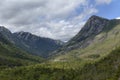 Mountain landscape in the summer