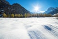 Mountain landscape on a sunny day with larches in the snow. Snow fall early winter and late autumn. Royalty Free Stock Photo