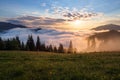 Mountain landscape. Sunrise in the clouds. Dense fog with nice soft light. On the lawn the grass and flowers in dew. Royalty Free Stock Photo