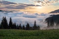 Mountain landscape. Sunrise in the clouds. Dense fog with nice soft light. On the lawn the grass and flowers in dew. Royalty Free Stock Photo