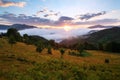 Mountain landscape. Sunrise in the clouds. Dense fog with nice soft light. On the lawn the grass and trees. Tourist resort. Royalty Free Stock Photo