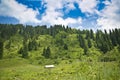 Mountain landscape Trans-Ili Alatau