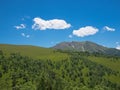 Mountain landscape with trees