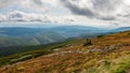 Mountain landscape with trees and meadow. Royalty Free Stock Photo