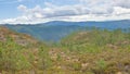 Mountainlandscape witg pine trees in the Portuguese countryside Royalty Free Stock Photo