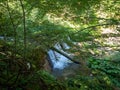 Mountain landscape in Valea Sambetei, Romania Royalty Free Stock Photo