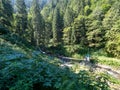 Mountain landscape in Valea Sambetei, Romania Royalty Free Stock Photo