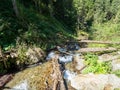 Mountain landscape in Valea Sambetei, Romania Royalty Free Stock Photo