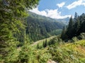 Mountain landscape in Valea Sambetei, Romania Royalty Free Stock Photo