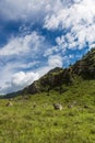 Mountain landscape in the valley of the confluence of the Katun and Maly Yaloman rivers, Altai, Russia