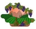 Mountain landscape with vineyards, a bottle of wine and a bunch of grapes. Framing of grape leaves and berries