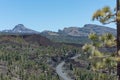 Mountain landscape. Winding road in the mountains