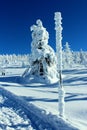 Mountain landscape in winter.