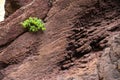 Mountain landscapes of gorges maska Royalty Free Stock Photo