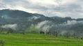 Mountain landscapes, green rice fields, cloudy skies and white mist between the trees Royalty Free Stock Photo