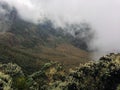 Mountain landscapes in the Rwenzori Mountains