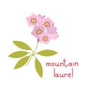 Mountain laurel vector flower