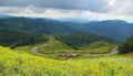 Mountain Layer View with yellow flowers in Northern of Thailand Royalty Free Stock Photo