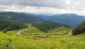 Mountain Layer View with yellow flowers in Northern of Thailand Royalty Free Stock Photo