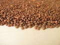 Mountain lentils distributed flatly on a wooden board Royalty Free Stock Photo