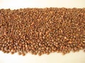 Mountain lentils distributed flatly on a wooden board Royalty Free Stock Photo