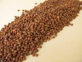 Mountain lentils distributed flatly on a wooden board Royalty Free Stock Photo