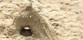 A mountain made of the sand with the face made by kids in sandbox on a playground