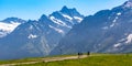 Mountain Mannlichen, Switzerland Royalty Free Stock Photo