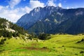 Mountain meadow against rock mount