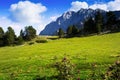 Mountain meadow against rock mount in summer