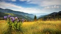 Autumn Landscape Panorama, Mountain Meadow Royalty Free Stock Photo