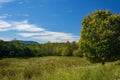 Mountain Meadow in the Blue Ridge Mountains of Virginia, USA Royalty Free Stock Photo