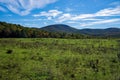 Mountain Meadow on the Blue Ridge Parkway, Virginia, USA Royalty Free Stock Photo