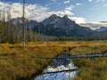 Mountain meadow in the fall with the Sawtooth mountains