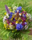 Mountain meadow flowers tied in a bunch Royalty Free Stock Photo