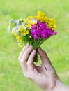 Mountain meadow flowers tied in a bunch Royalty Free Stock Photo