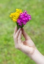 Mountain meadow flowers tied in a bunch Royalty Free Stock Photo